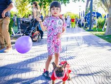 Habrá desfiles de mascotas en Santa Lucía, San Martín y Capital para celebrar el Día del Animal. Habrá desfiles de mascotas en Santa Lucía, San Martín y Capital para celebrar el Día del Animal.