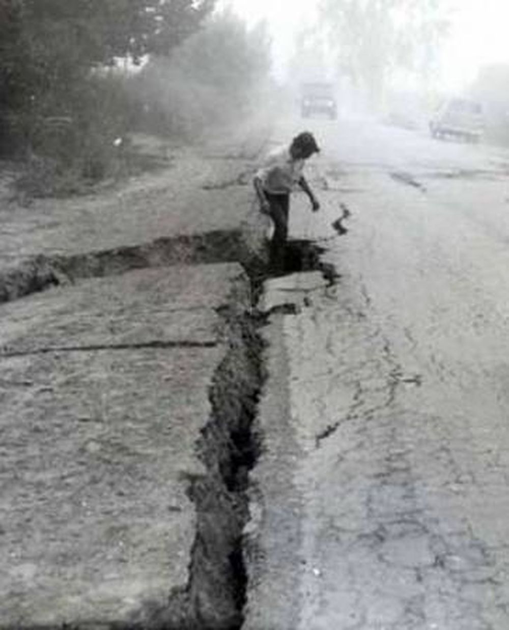 Colecta de fotos del terremoto