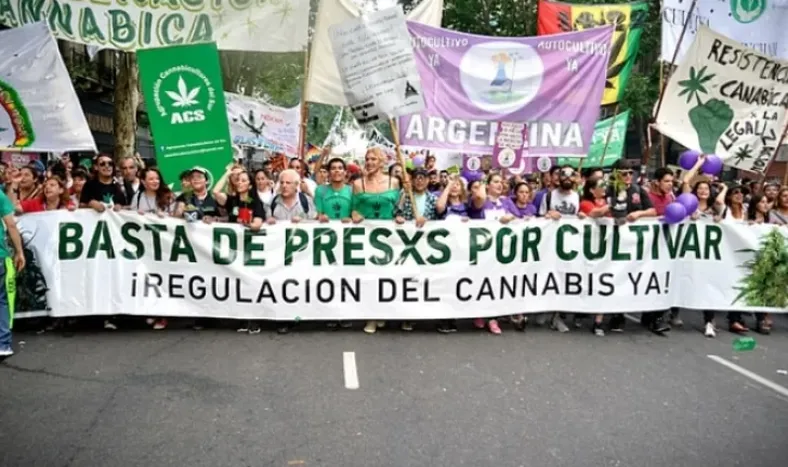Cannabis medicinal: las respuestas positivas a la epilepsia refractaria superaron el 80%