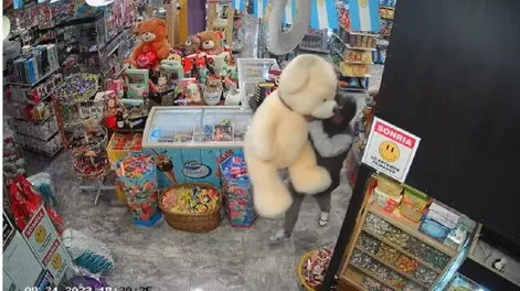 Insólito: entró a un kiosco y se robó un oso de peluche gigante