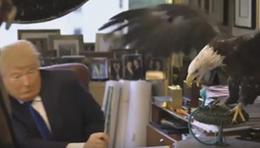 Donald Trump fue atacado por un águila en una sesión de fotos