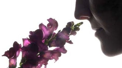 Aromas imborrables