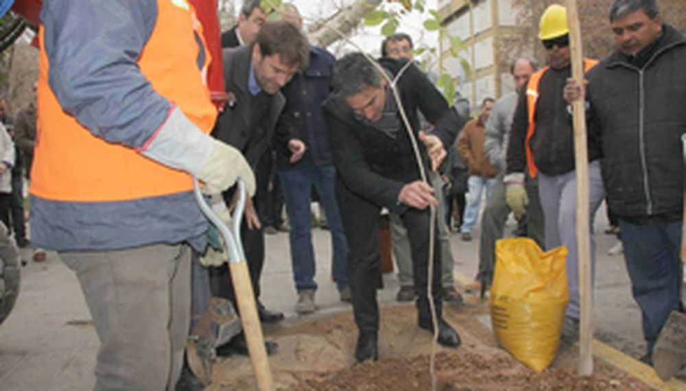 Capital compró un taladro gigante para renovar árboles