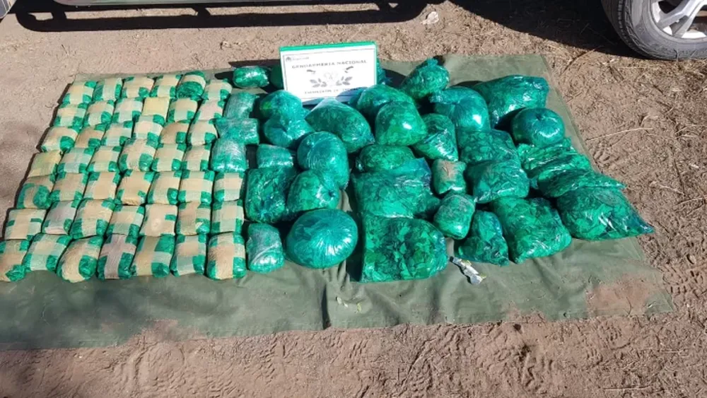 Gendarmería secuestró casi 20 kilos de hojas de coca