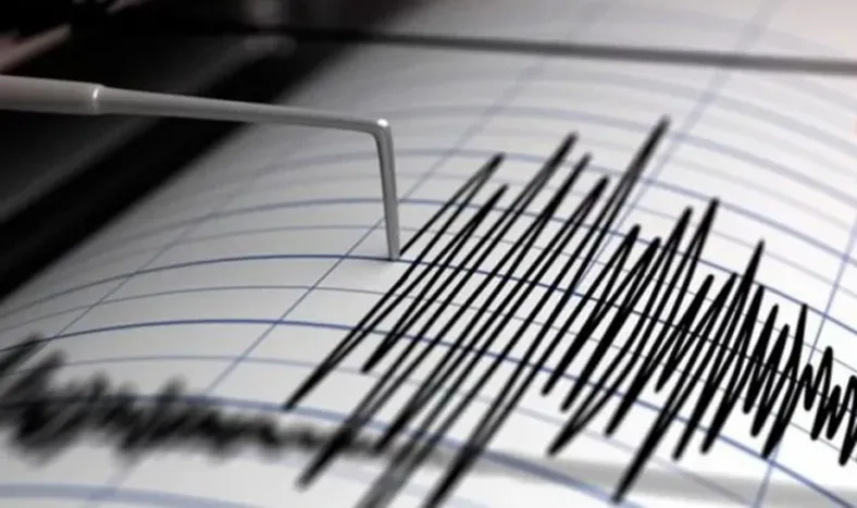Un sismo ocurrido en el Este sanjuanino se percibió en algunos departamentos