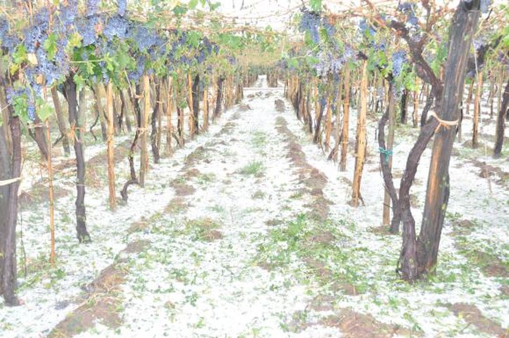 Una buena inversión para el campo