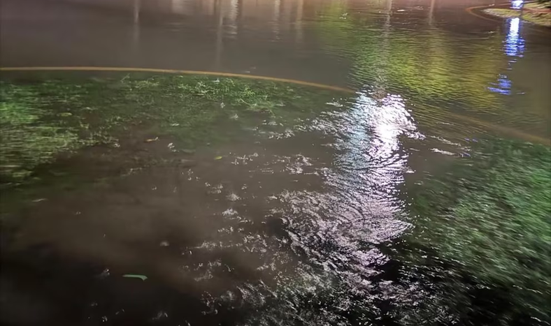 Violento temporal en una localidad de Córdoba: 250 milímetros de lluvia, inundaciones y un geriátrico evacuado