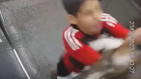 ¡Un milagro! Un nene de 11 años salvó a su perrita de morir ahorcada en el ascensor