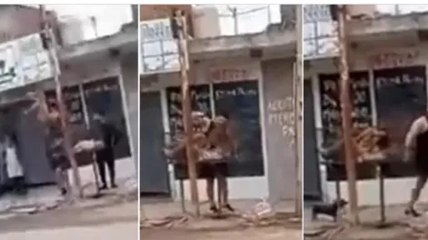[VIDEO] Atrapó a un ladrón, lo golpeó y lo arrojó a la basura