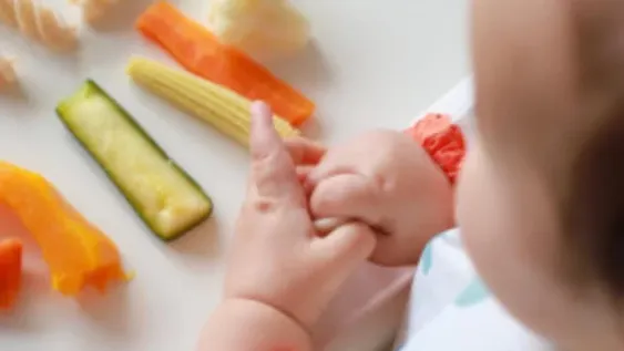 Las primeras comidas de los bebés, (casi) idénticas a las del resto de la familia