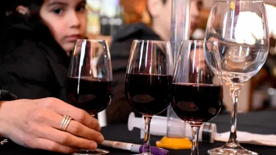 Aseguran que prohibir manejar tras consumir alcohol sería un golpe para la vitivinicultura