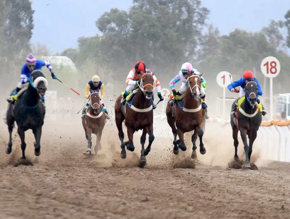 Una cita de gran nivel