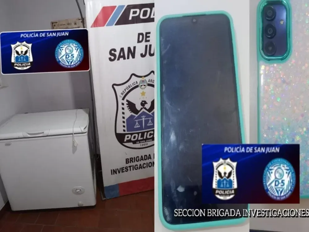 Robó en una quinta de Pocito y luego de varios allanamientos, quedó detenido