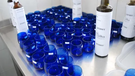 Cata virtual de aceite de oliva en Argoliva 2020