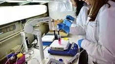 Un inédito laboratorio de genética