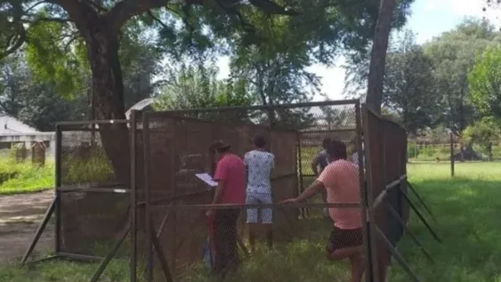 Violaron la cuarentena y los encerraron en una jaula