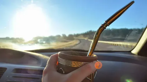 OTRO ARGUMENTO. Explican que el mate es que la bombilla puede convertirse en un objeto cortante y el termo actuar como proyectil ante un impacto.