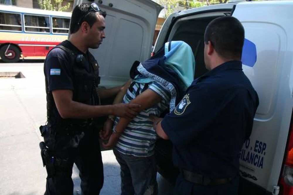 Arrebató una cartera pero lo detuvieron