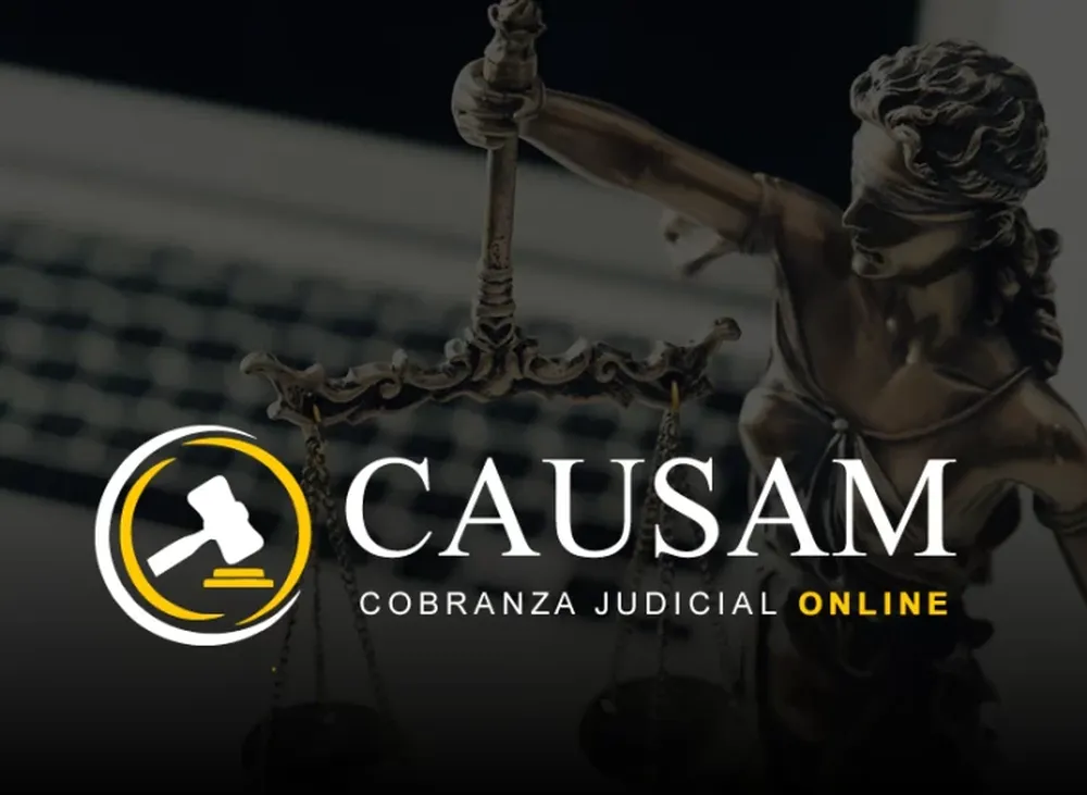 ¿Tenes deudas a cobrar? Hay un nuevo sistema de Cobranza Judicial Online