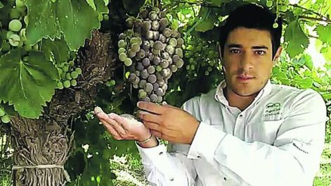 Producto ecológico local para ataques fúngicos