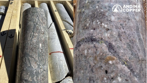 Avanza el mapa del cobre y oro en San Juan: la minera que opera Piuquenes Norte dio a conocer auspiciosos resultados de su exploración