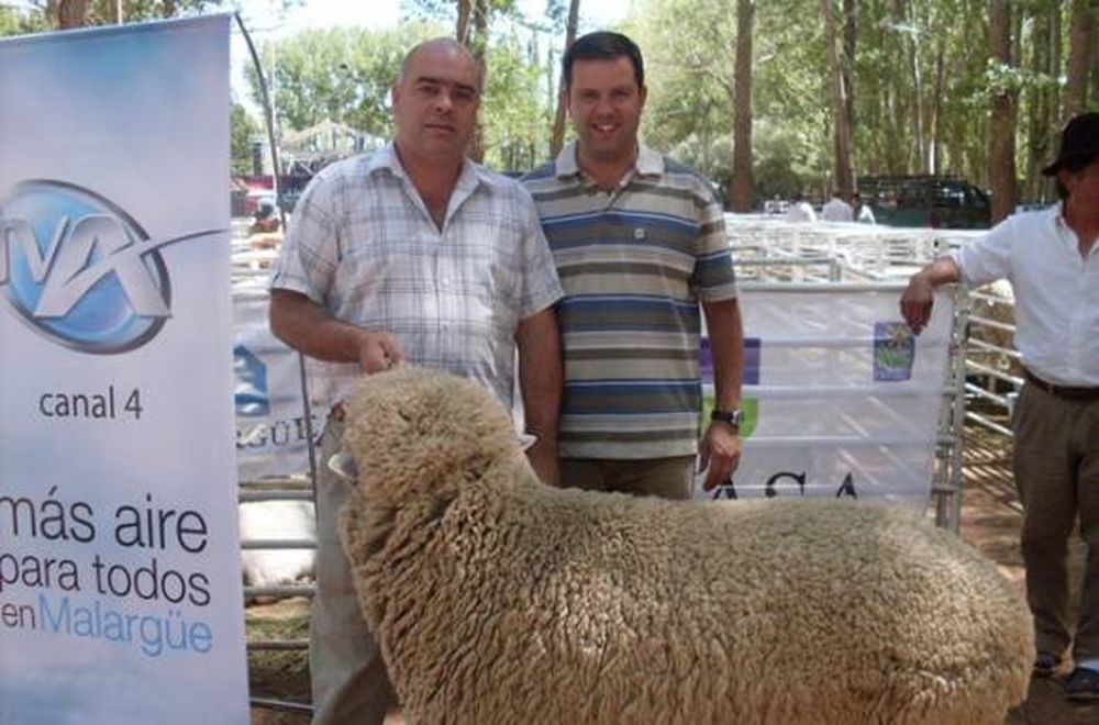 Participación del Senasa en la exposición caprina y ovina 2011