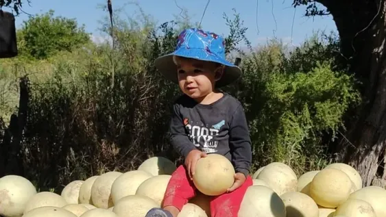 Concurso “La mejor foto en Producción de Melón de San Juan, ingeniera Silvia Cortez”