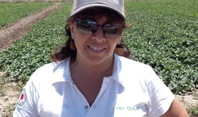 Los melones se expresan mejor en la zona de Media Agua, San Juan
