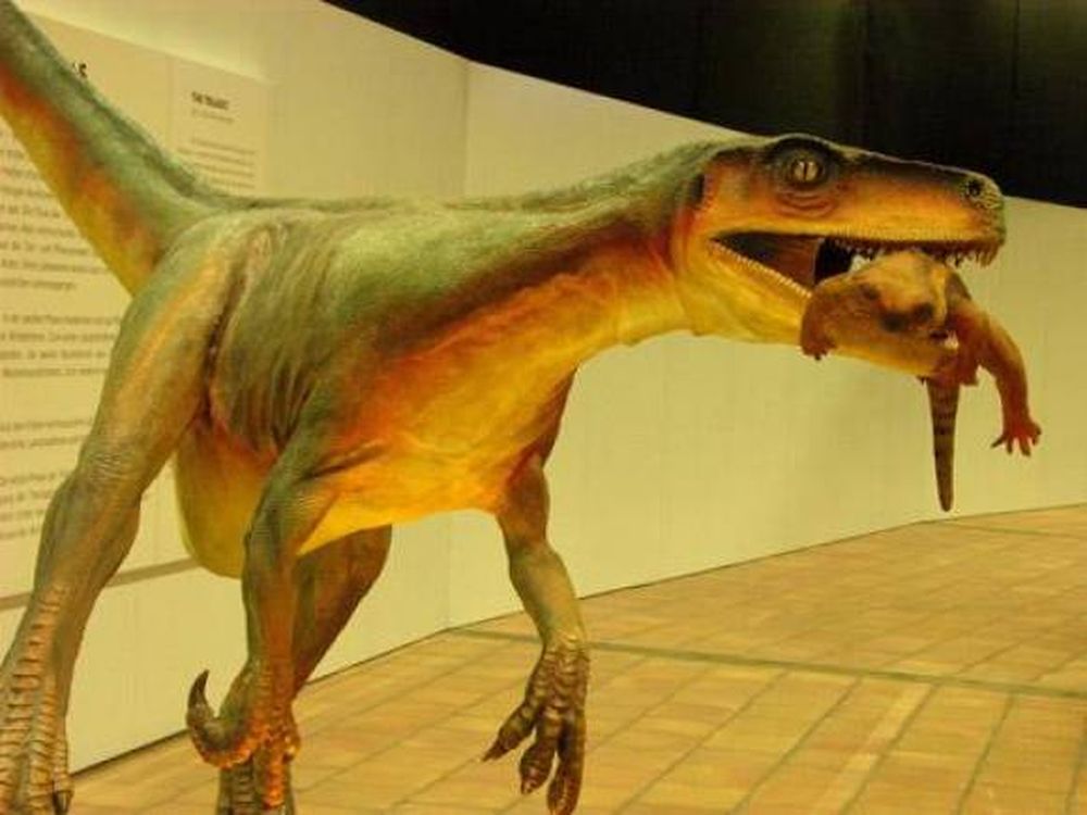 Los dinosaurios que hicieron famoso a San Juan