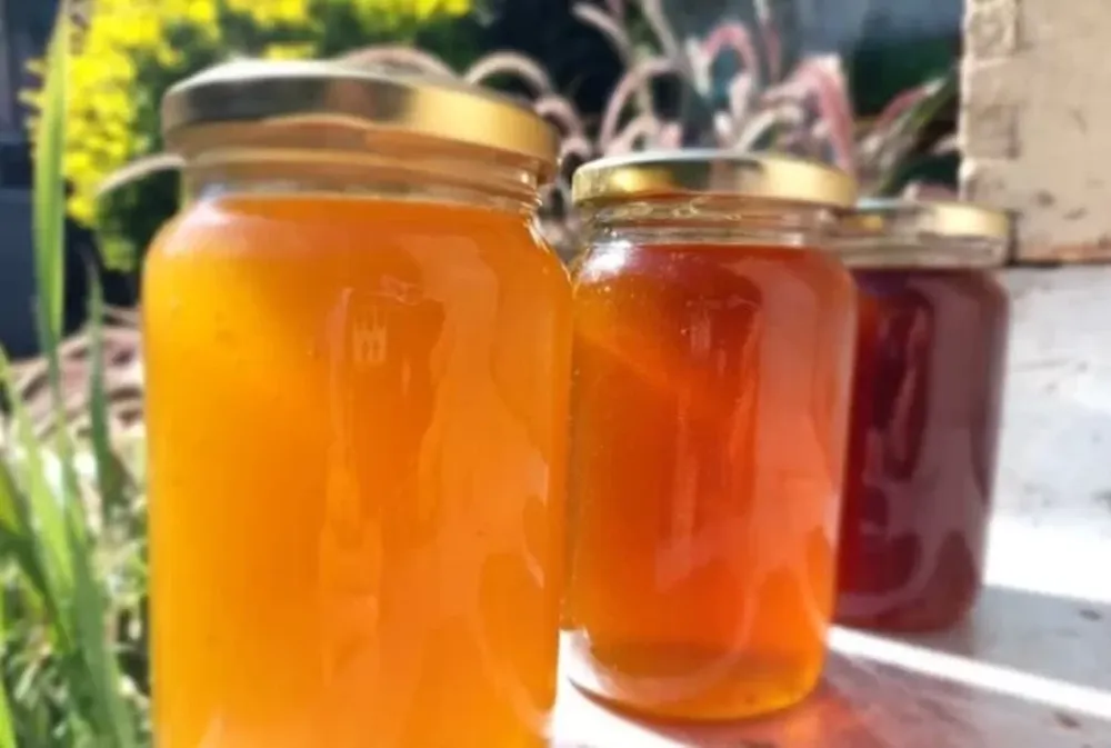 Día internacional de las abejas en San Juan: productores apícolas celebran con una feria