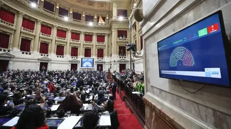 Uno por uno, así votaron los diputados el rechazo a los vetos de las leyes de Financiamiento Universitario y de Emergencia en Pediatría