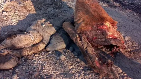 Fotos: gentileza Infoalbardón