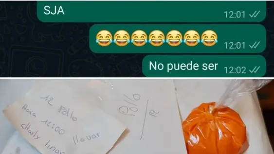 Se emborrachó y le mandó un increíble mensaje de WhatsApp a su amiga que se hizo viral