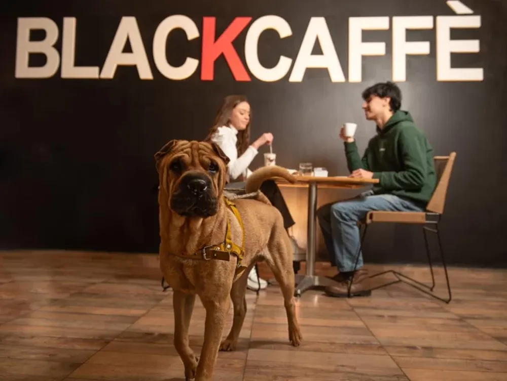 El café más amigable con las mascotas