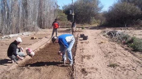 Cómo emprender y agregar valor