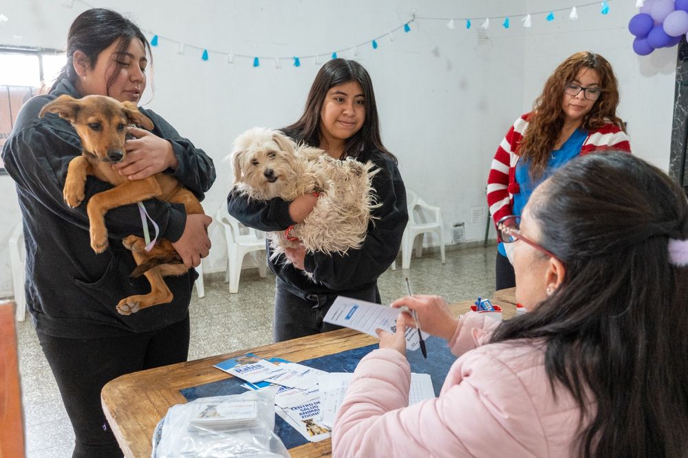 Rawson lanza un nuevo programa de servicios itinerante que incluye desde vacunación para mascotas hasta venta de gas más barato.