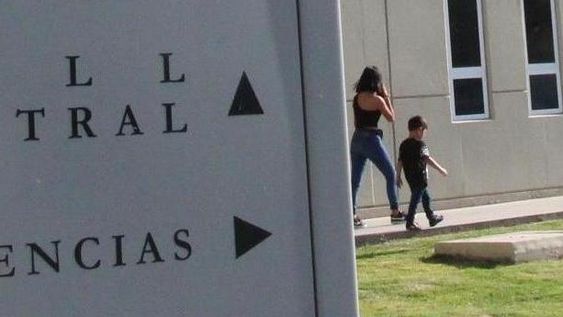 Una nena terminó en el hospital luego de ser atacada por un gato