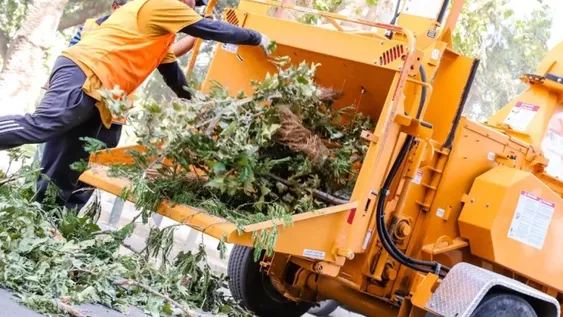 El cronograma de las tareas de limpieza en el centro luego del fuerte viento