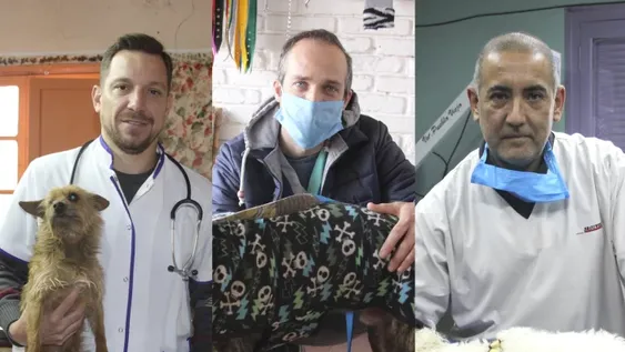 Los que cumplieron la promesa de chicos de curar a todos los animales abandonados