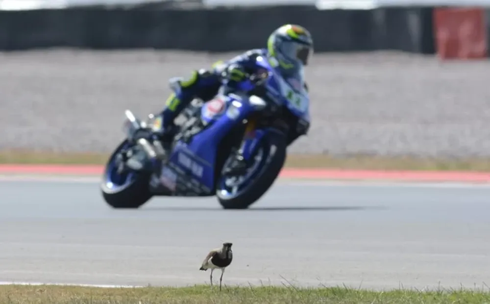 El color de la primera jornada del SBK