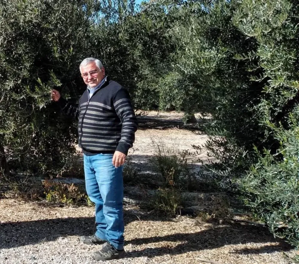 Seguir técnicamente el monte de olivos