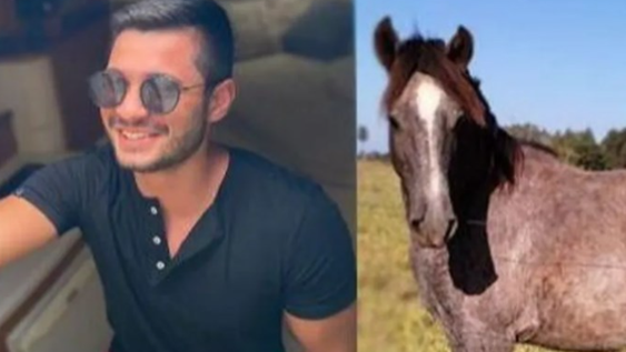 Alcoholizado, se metió en una subasta y compró un caballo: “Ni sé cuidar un perro”