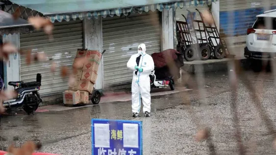 Expertos de la OMS viajan a Wuhan para buscar el origen del coronavirus