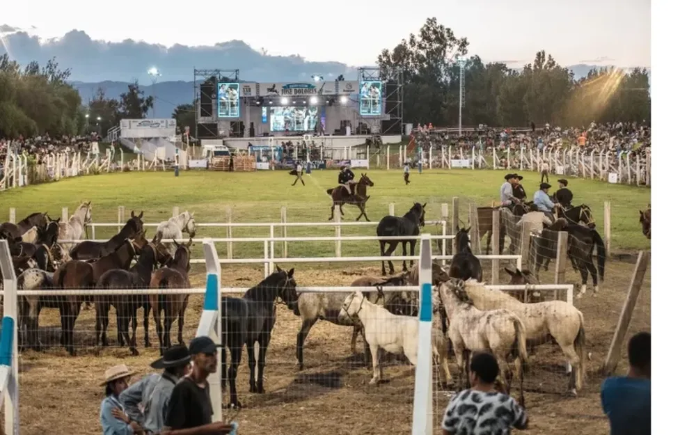En Médano de Oro se prepara para el festival de destrezas criollas y folklore