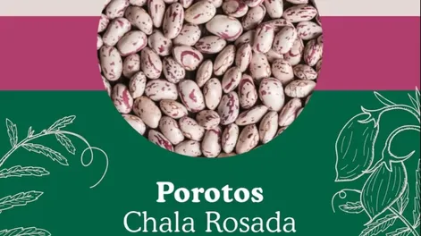 La Cooperativa El Porvenir y sus numerosas cosechas