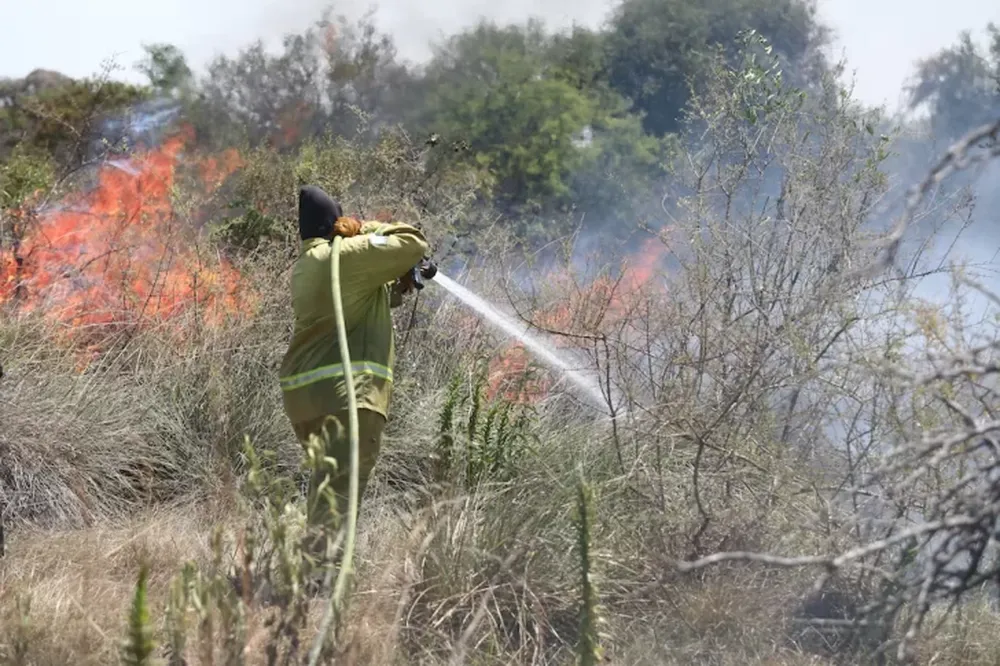 Incendios en Corrientes: una maestra muerta y miles de hectáreas arrasadas por los incendios