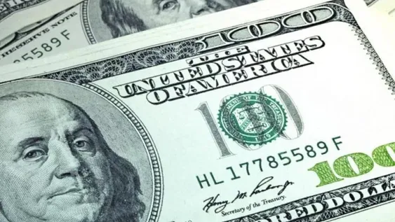 El Banco Central compró 50 millones de dólares y el blue operó de forma estable