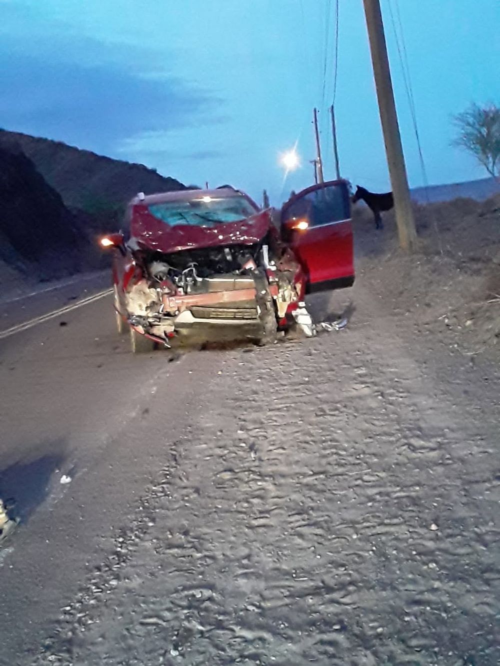 Calingasta: caballos sueltos causaron un accidente en la Ruta 149. Gentileza: Radio Manantial