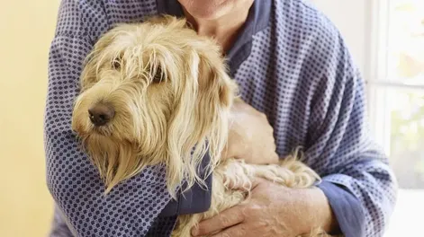 Diario de Cuyo | ...NO ES COMÚN que alguien adopte a un animal viejo. Poca calle le quedaba al callejero. Con su nuevo padre iría ahora a compartir arrugas, magullones y, sobre todo, pergaminos de vida.