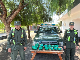 Gendarmería nacional secuestró hojas de coca. Gendarmería nacional secuestró hojas de coca.